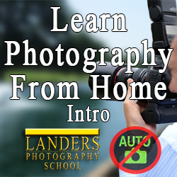 Online Photo101
